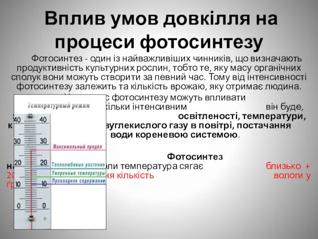 Вплив умов довкілля на процеси фотосинтезу Фотосинтез - один із