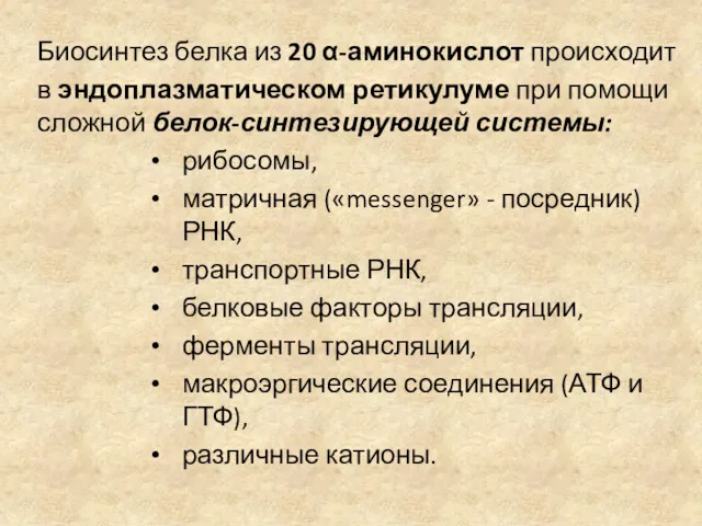 Биосинтез белка из 20 α-аминокислот происходит в эндоплазматическом ретикулуме при