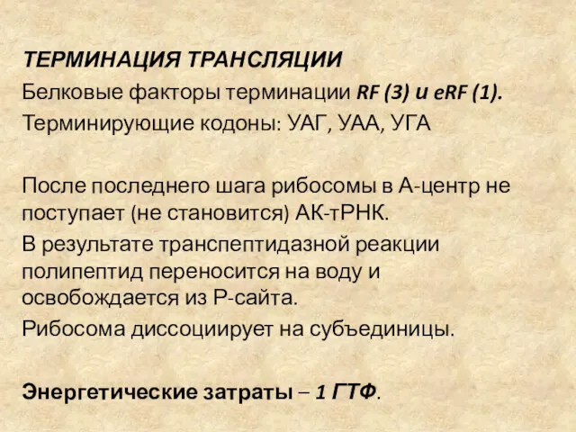 ТЕРМИНАЦИЯ ТРАНСЛЯЦИИ Белковые факторы терминации RF (3) и eRF (1).