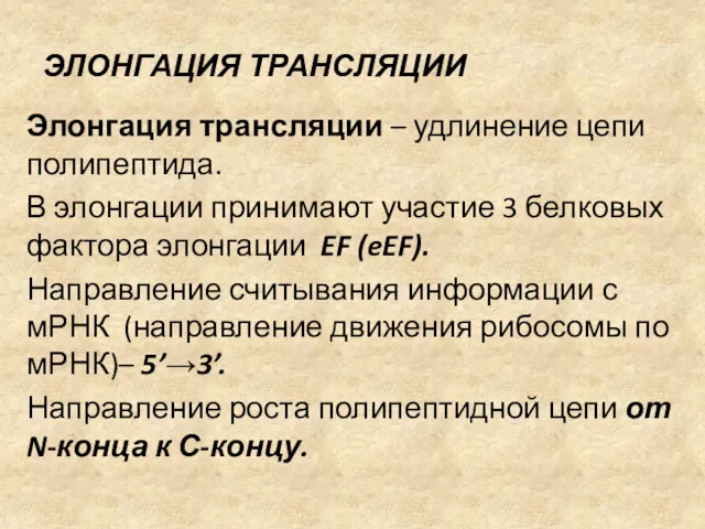 ЭЛОНГАЦИЯ ТРАНСЛЯЦИИ Элонгация трансляции – удлинение цепи полипептида. В элонгации