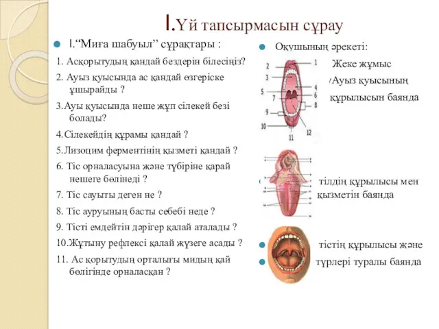 І.Үй тапсырмасын сұрау І.“Миға шабуыл” сұрақтары : 1. Асқорытудың қандай