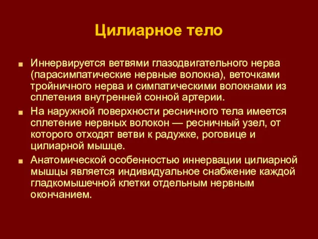 Цилиарное тело Иннервируется ветвями глазодвигательного нерва (парасимпатические нервные волокна), веточками