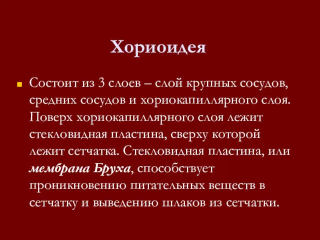 Хориоидея Состоит из 3 слоев – слой крупных сосудов, средних