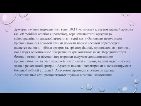 Артерии стенок полости носа (рис. 10.17) относятся к ветвям глазной