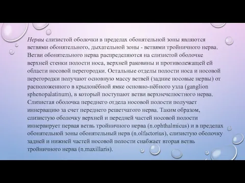 Нервы слизистой оболочки в пределах обонятельной зоны являются ветвями обонятельного,