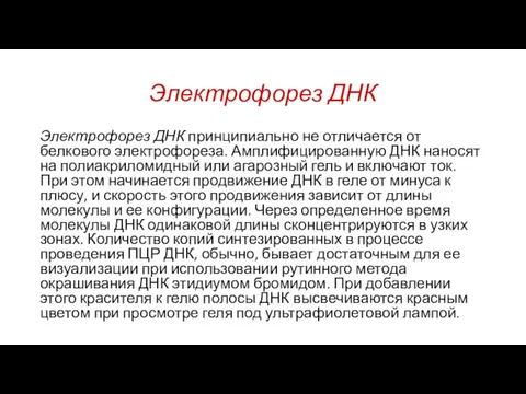 Электрофорез ДНК Электрофорез ДНК принципиально не отличается от белкового электрофореза.