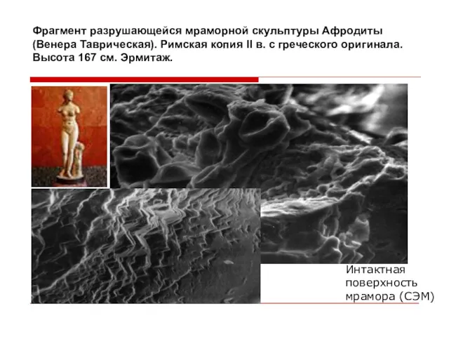 Фрагмент разрушающейся мраморной скульптуры Афродиты (Венера Таврическая). Римская копия II