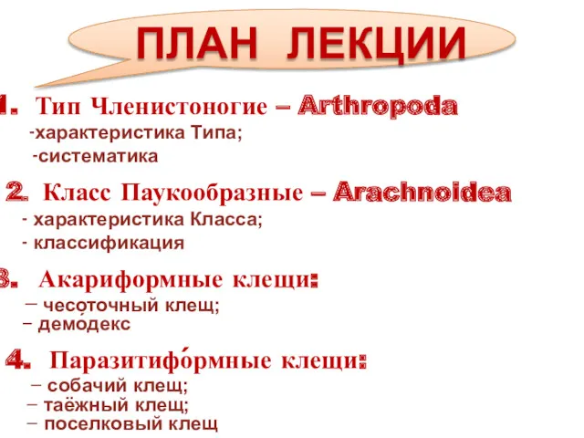 Тип Членистоногие – Arthropoda -характеристика Типа; -систематика 2. Класс Паукообразные