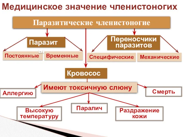 Медицинское значение членистоногих Раздражение кожи Постоянные Аллергию Временные Паразиты Специфические