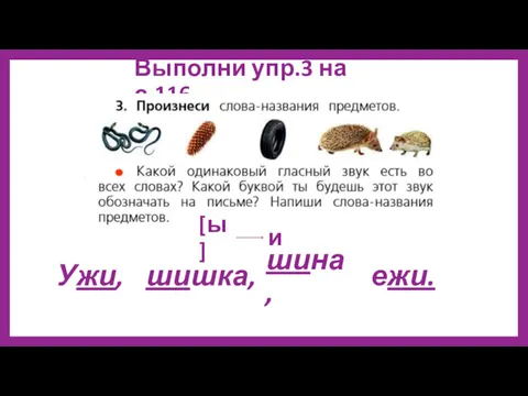 Выполни упр.3 на с.116. [ы] и Ужи, шишка, шина, ежи.