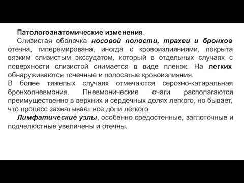 Патологоанатомические изменения. Слизистая оболочка носовой полости, трахеи и бронхов отечна,