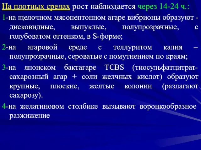 На плотных средах рост наблюдается через 14-24 ч.: 1-на щелочном