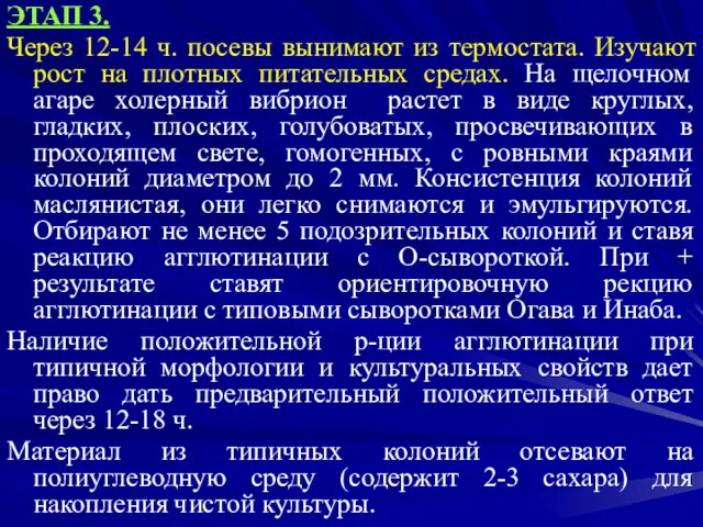 ЭТАП 3. Через 12-14 ч. посевы вынимают из термостата. Изучают