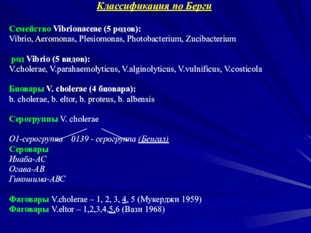 Классификация по Берги Семейство Vibrionaceae (5 родов): Vibrio, Aeromonas, Plesiomonas,