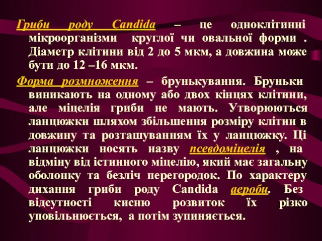 Гриби роду Candida – це одноклітинні мікроорганізми круглої чи овальної