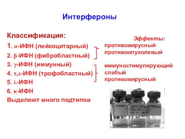 Интерфероны Классификация: 1. α-ИФН (лейкоцитарный)‏ 2. β-ИФН (фибробластный)‏ 3. γ-ИФН