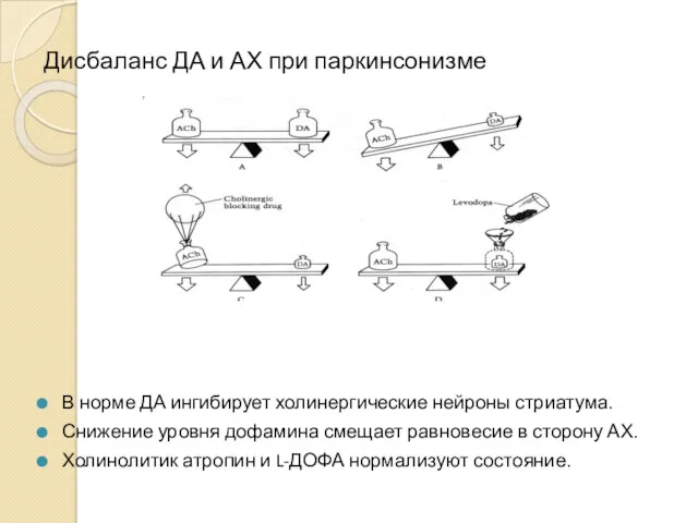 Дисбаланс ДА и АХ при паркинсонизме В норме ДА ингибирует