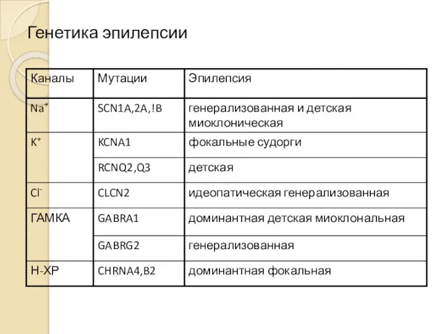 Генетика эпилепсии