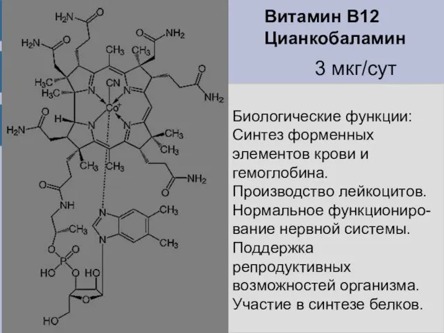 Витамин В12 Цианкобаламин Биологические функции: Синтез форменных элементов крови и