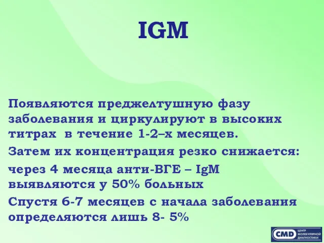 IGM Появляются преджелтушную фазу заболевания и циркулируют в высоких титрах