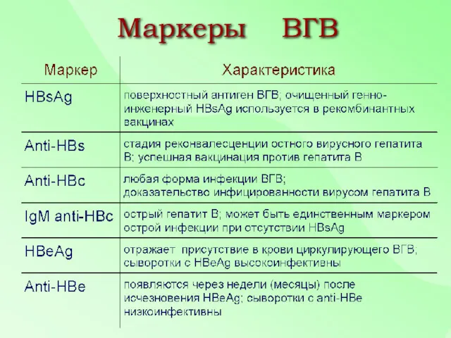 Маркеры ВГВ