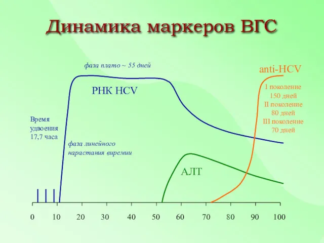 0 10 20 30 40 50 60 70 80 90 100 Динамика маркеров ВГС