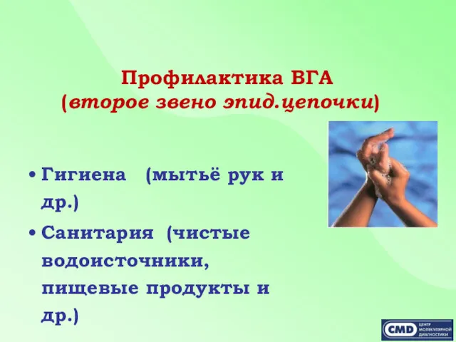 Профилактика ВГА (второе звено эпид.цепочки) Гигиена (мытьё рук и др.)