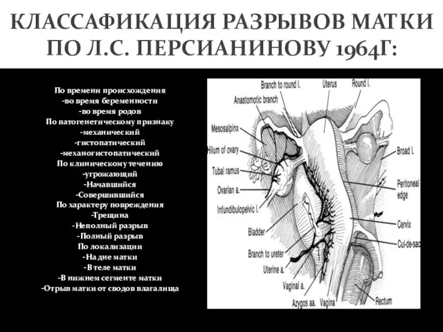 КЛАССАФИКАЦИЯ РАЗРЫВОВ МАТКИ ПО Л.С. ПЕРСИАНИНОВУ 1964Г: По времени происхождения