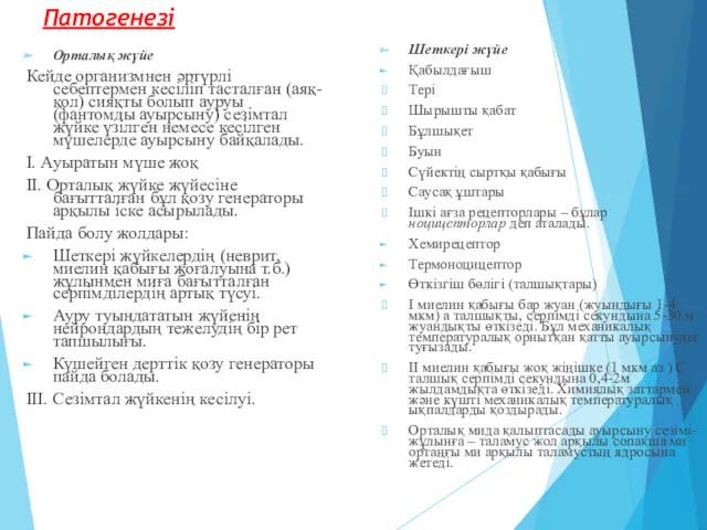 Патогенезі Орталық жүйе Кейде организмнен әртүрлі себептермен кесіліп тасталған (аяқ-қол)