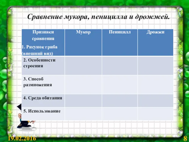 Сравнение мукора, пеницилла и дрожжей. 19.02.2016