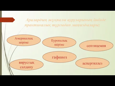 Аралардың жұқпалы ауруларының ішінде практикалық тұрғыдан маңыздылары: Америкалық шіріме Еуропалық шіріме вирустық салдану гафниоз аспергиллез септицемия