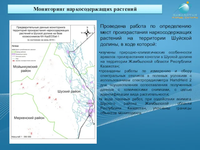 Мониторинг наркосодержащих растений изучены природно-климатические особенности ареалов произрастания конопли в