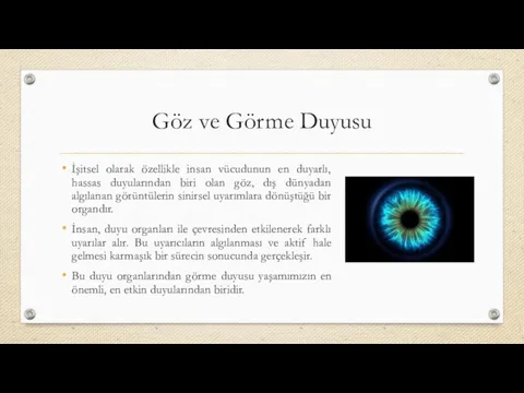 Göz ve Görme Duyusu İşitsel olarak özellikle insan vücudunun en