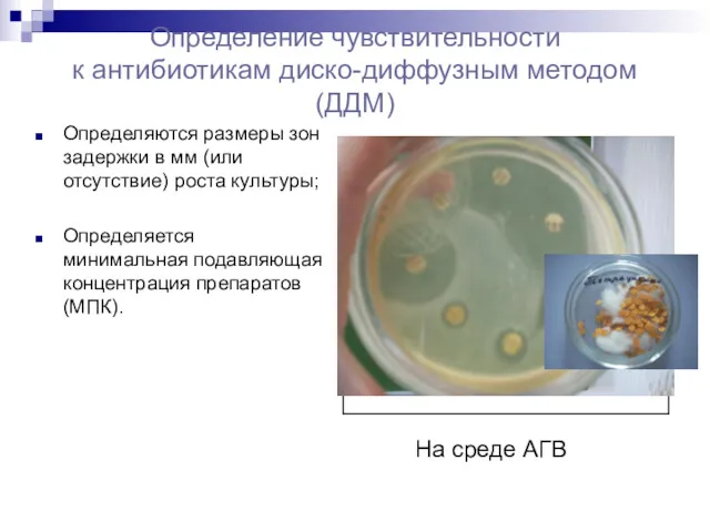 Определение чувствительности к антибиотикам диско-диффузным методом (ДДМ) Определяются размеры зон задержки в мм