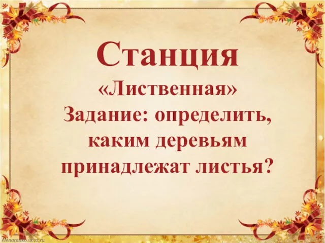 Станция «Лиственная» Задание: определить, каким деревьям принадлежат листья?