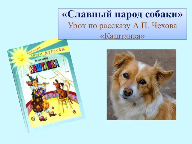 «Славный народ собаки» Урок по рассказу А.П. Чехова «Каштанка»