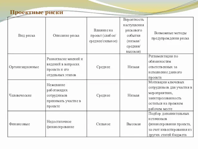 Проектные риски