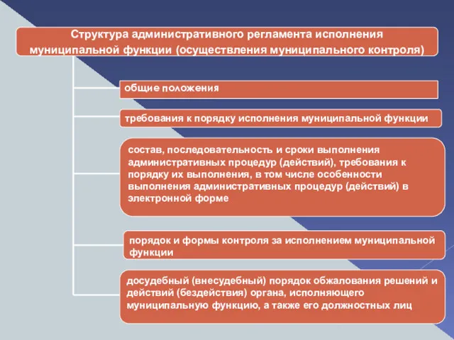 Структура административного регламента исполнения муниципальной функции (осуществления муниципального контроля) общие