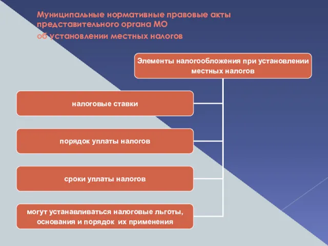 Муниципальные нормативные правовые акты представительного органа МО об установлении местных налогов