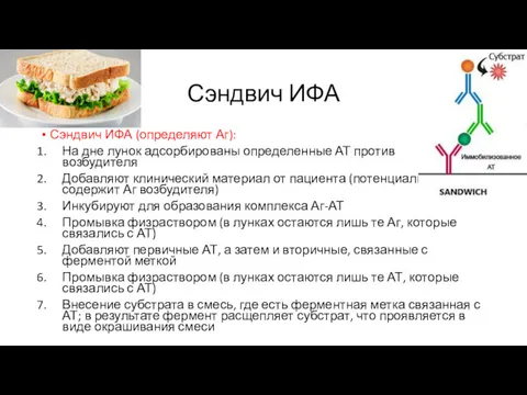 Сэндвич ИФА Сэндвич ИФА (определяют Аг): На дне лунок адсорбированы определенные АТ против