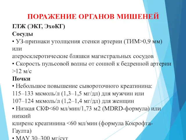 ПОРАЖЕНИЕ ОРГАНОВ МИШЕНЕЙ ГЛЖ (ЭКГ, ЭхоКГ) Сосуды • УЗ-признаки утолщения