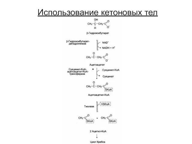 Использование кетоновых тел