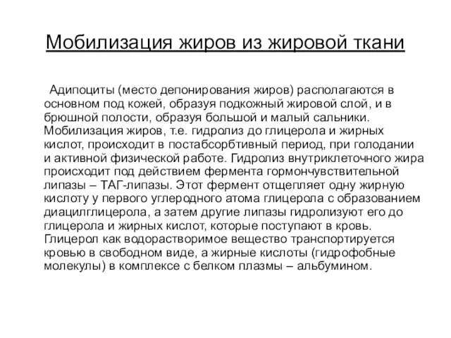 Мобилизация жиров из жировой ткани Адипоциты (место депонирования жиров) располагаются