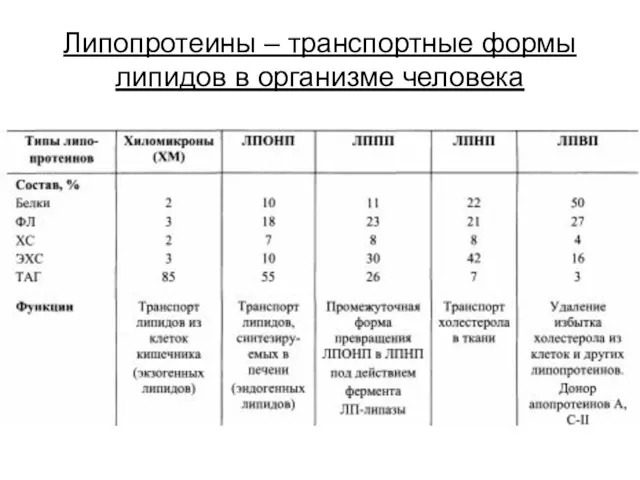 Липопротеины – транспортные формы липидов в организме человека