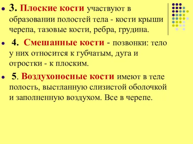 3. Плоские кости участвуют в образовании полостей тела - кости