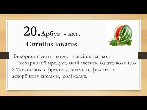 20.Арбуз - лат. Citrиllus laваtus Використовують корку і насіння, м,якоть