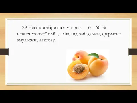 29.Насіння абрикоса містять 35 - 60 % невисихаючої олії , глікозид амігдалин, фермент эмульсин, лактозу.