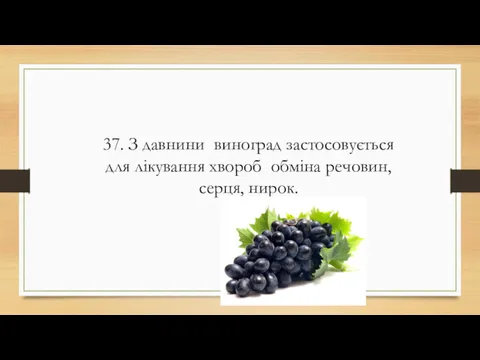 37. З давнини виноград застосовується для лікування хвороб обміна речовин, серця, нирок.