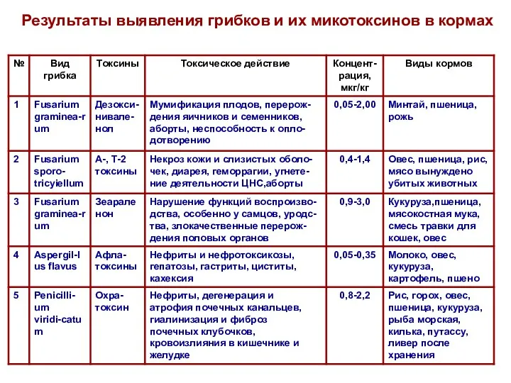 Результаты выявления грибков и их микотоксинов в кормах