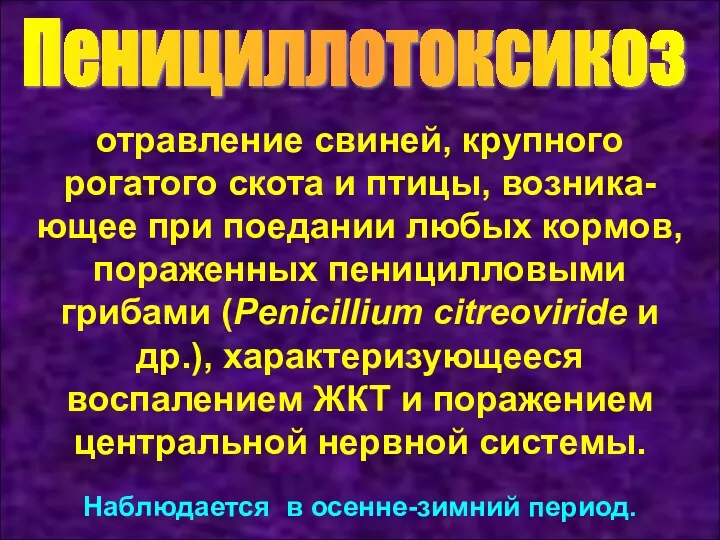 Пенициллотоксикоз отравление свиней, крупного рогатого скота и птицы, возника-ющее при поедании любых кормов,